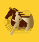2023包头半程马拉松赛 (第四场) Logo