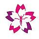 2019宁波（醉美樱花）国际女子半程马拉松 Logo