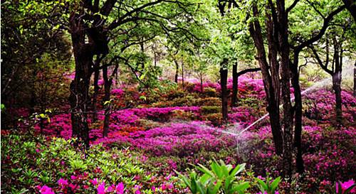 艾维体育"春暖花开・运动季" Logo