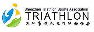 深圳国际夜间马拉松嘉年华 Logo