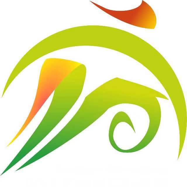 北京城房·2019宿州国际半程马拉松赛 Logo