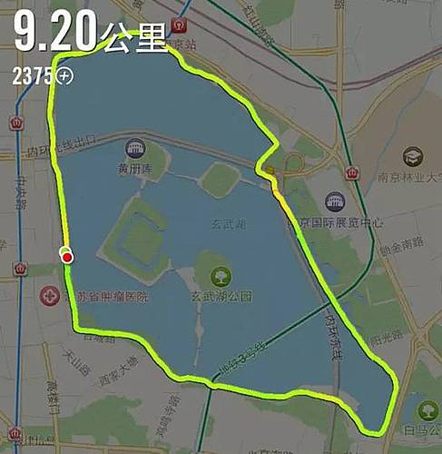 蒙牛纯甄杯首届全民健身日环玄武湖挑战赛 Logo