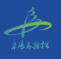 2025阜阳马拉松暨中国田径协会10公里精英赛 (阜阳站) Logo