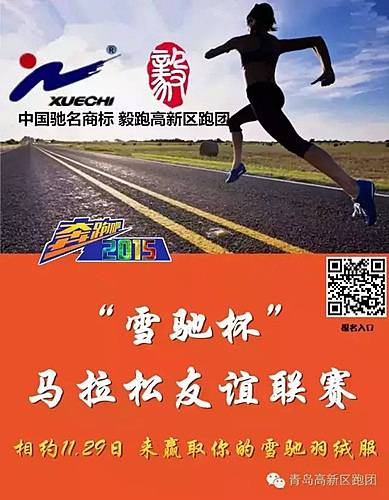 “雪驰杯”青岛高新区半程马拉松友谊赛 Logo