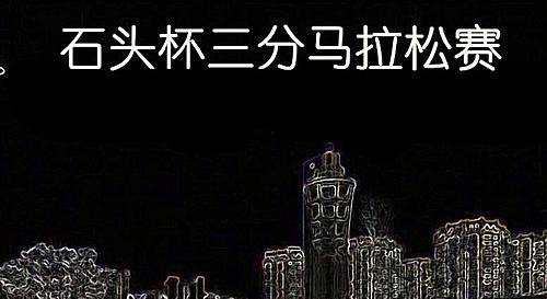 成都石头杯三分马拉松 Logo