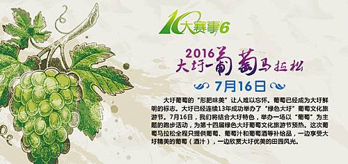 合肥葡萄马拉松 Logo