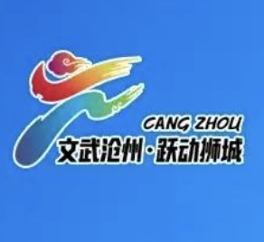 “丛台窖龄20” 2024沧州市第十届大运河半程马拉松 Logo