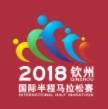 2020钦州国际半程马拉松赛暨健康中国马拉松系列赛（延期举办） Logo