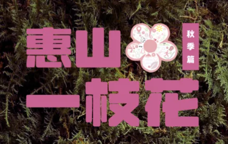 2026 GO野社区赛·惠山一枝花 Logo