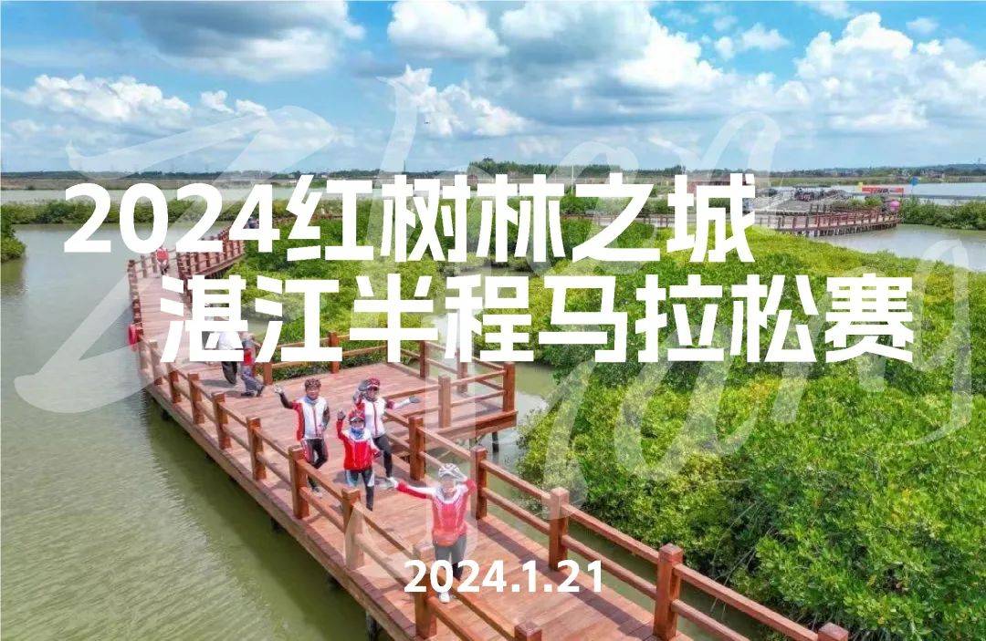 2024“红树林之城”湛江半程马拉松赛 Logo
