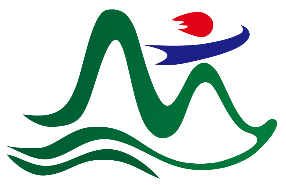 2019武夷山国际马拉松赛 Logo