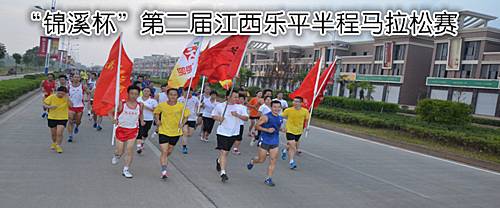 2019"鸿宇中央城杯"江西乐平半程马拉松 Logo