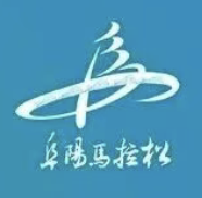 2026阜阳马拉松 Logo