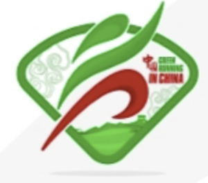 2024绿跑中国・全民健康大赛推广活动 (北京・石景山) 站 Logo