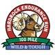 2021 Hardrock 100 英里耐力赛 Logo