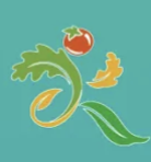 和县农商银行蔬菜之乡2025和县半程马拉松 Logo