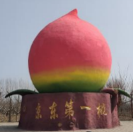 京东赏桃花 八仙结友缘 2025第二届“口东桃花缘杯”宝坻区欢乐健康跑赛 Logo