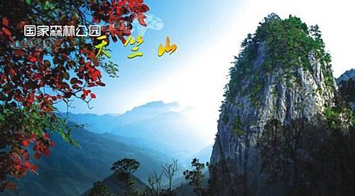 厦门50公里山地越野赛 Logo