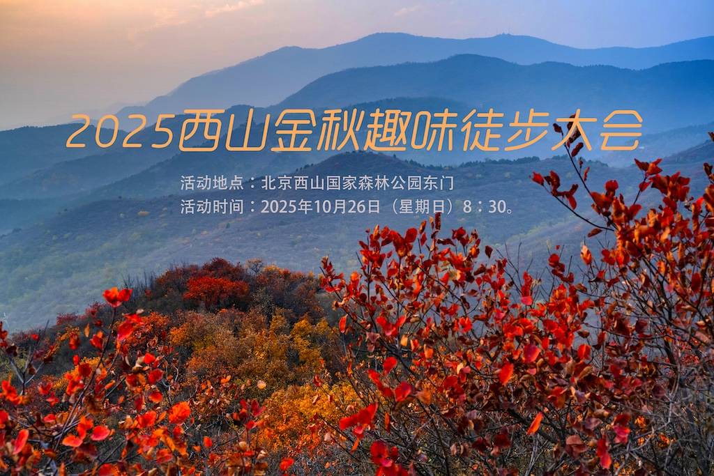 2025西山金秋趣味徒步大会 Logo