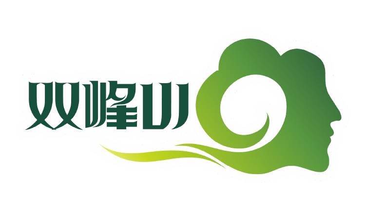 2025年湖北孝感双峰山登山大会 Logo