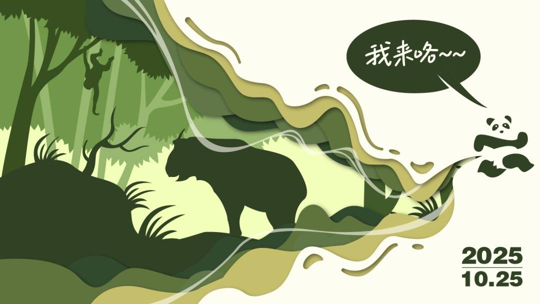 2025熊猫家园唐家河生态山径赛 Logo
