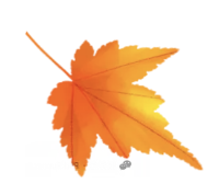 2025年ParkRunner上海城市业余联赛・环上海公园跑・嘉北郊野公园站 Logo