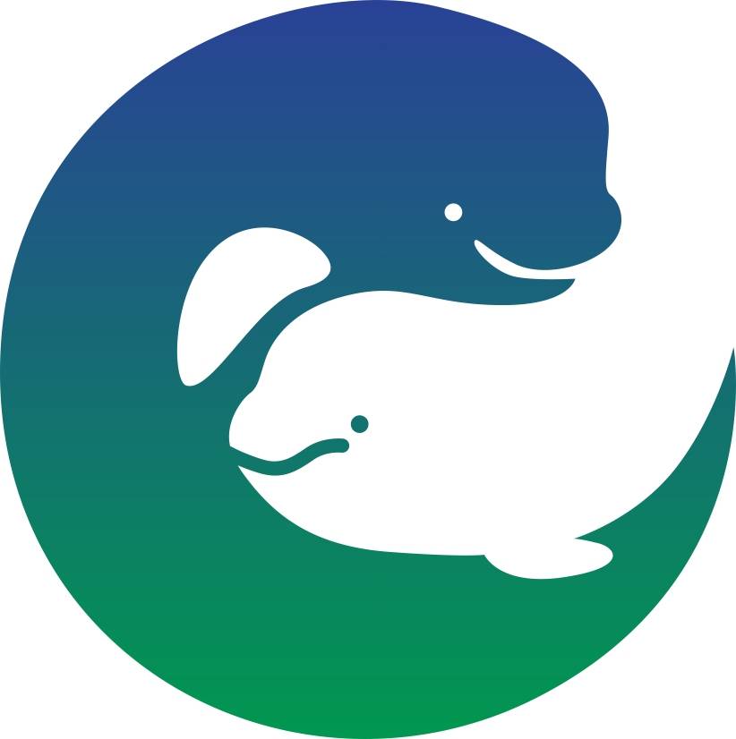 2020湖北・长江国际超级马拉松暨枝江马拉松 (比赛延期) Logo