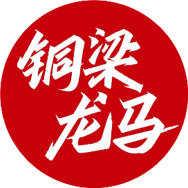 2024重庆铜梁龙马拉松 Logo