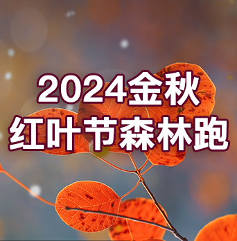2024金秋红叶节森林跑 Logo