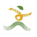 2025西青区半程马拉松 Logo